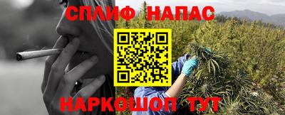 прущие грибы Донской