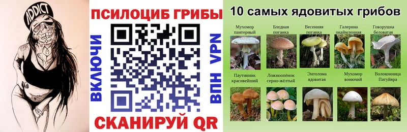 Псилоцибиновые грибы Cubensis  как найти закладки  Магнитогорск 