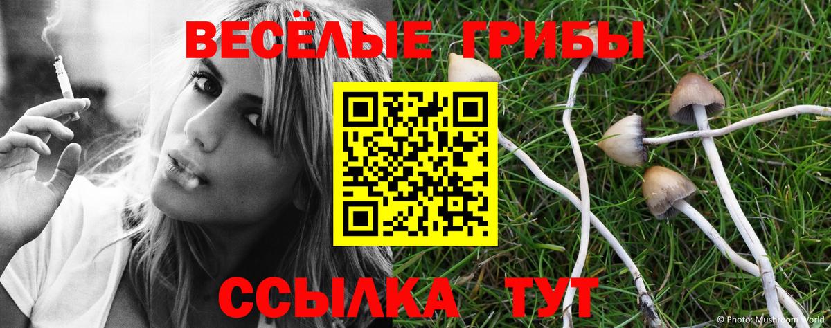 Магнитогорск  Псилоцибиновые грибы Cubensis  Псилоцибиновые грибы Psilocybe  где найти наркотики  Вход с VPN 