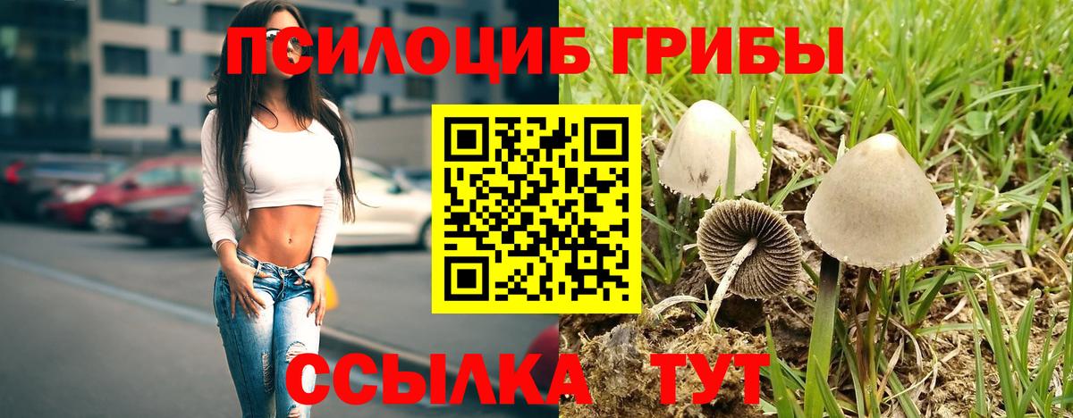 Псилоцибиновые грибы мицелий Магнитогорск